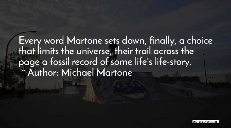 Record Of Life Quotes By Michael Martone