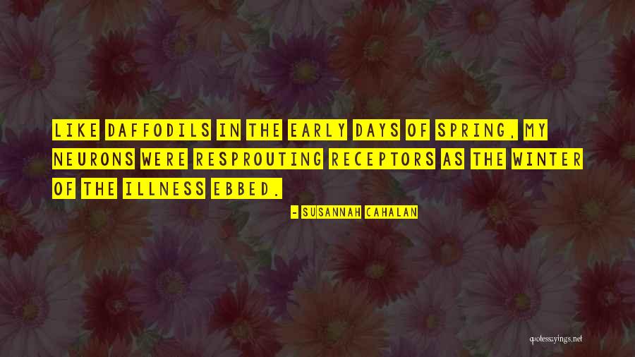 Recordado Martin Quotes By Susannah Cahalan Recordado Martin Quotes By Susannah Cahalan