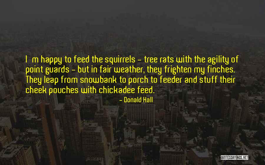 Recorrido In English Quotes By Donald Hall Recorrido In English Quotes By Donald Hall
