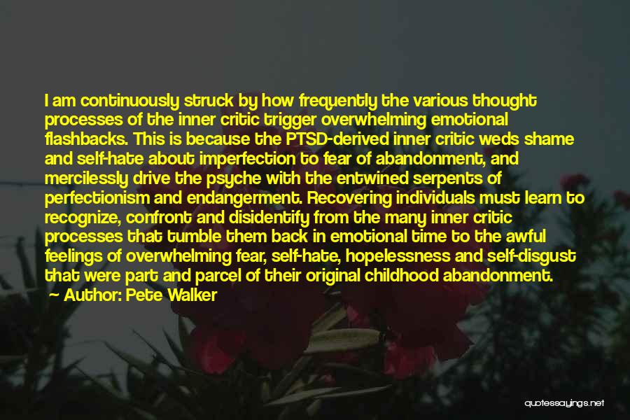 Recovering From Emotional Abuse Quotes By Pete Walker