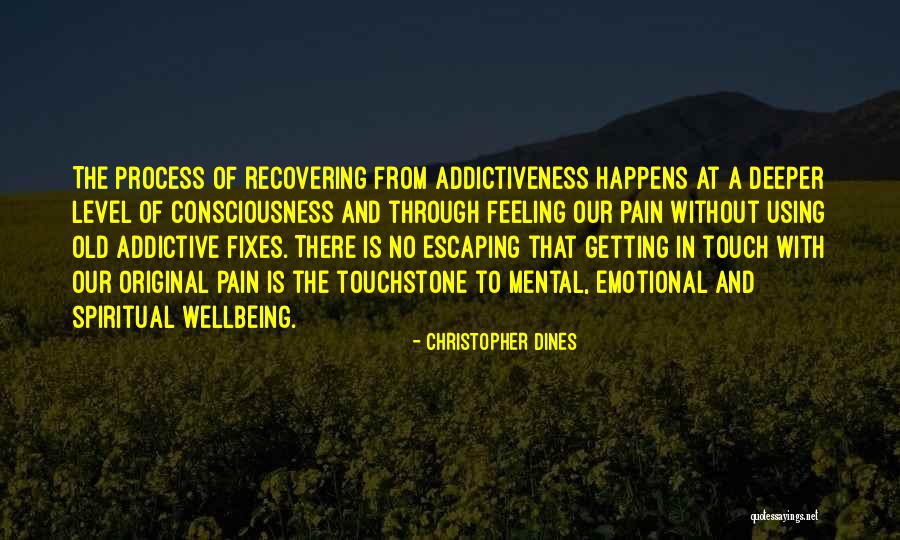 Recovery And Addiction Quotes By Christopher Dines