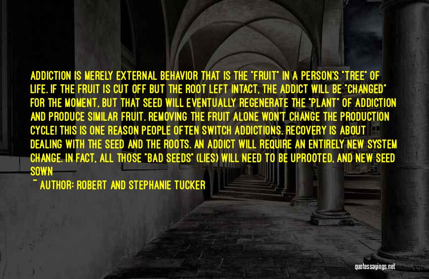 Recovery And Addiction Quotes By Robert And Stephanie Tucker