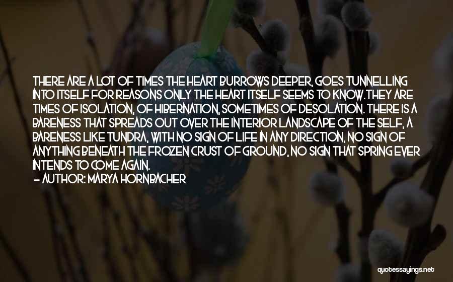 Recovery Eating Disorder Quotes By Marya Hornbacher