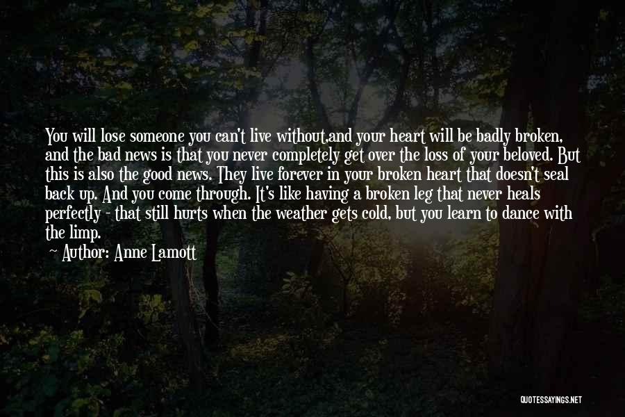 Recovery From Loss Quotes By Anne Lamott