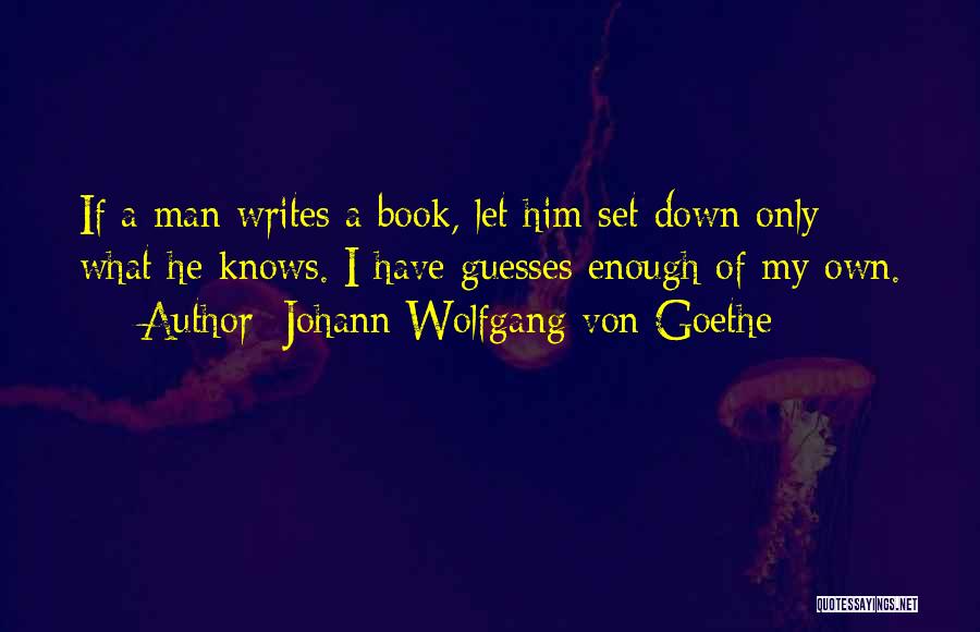 Recovery Model Mental Health Quotes By Johann Wolfgang Von Goethe