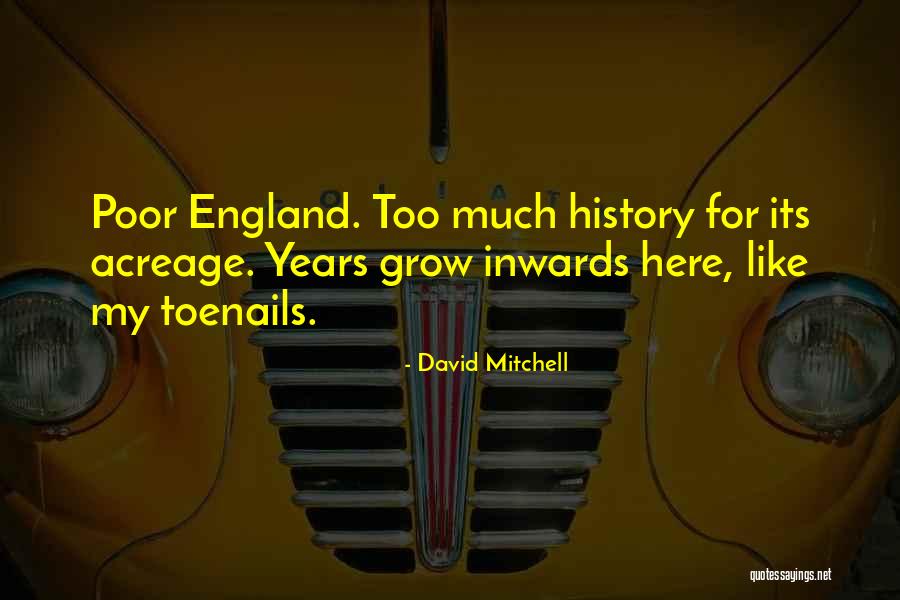 Recross Quotes By David Mitchell