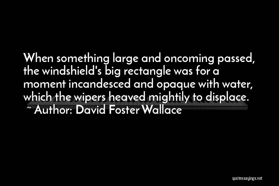 Rectangle Quotes By David Foster Wallace