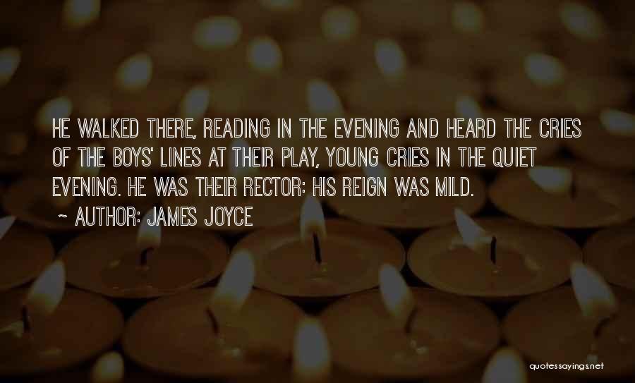 Rector Quotes By James Joyce