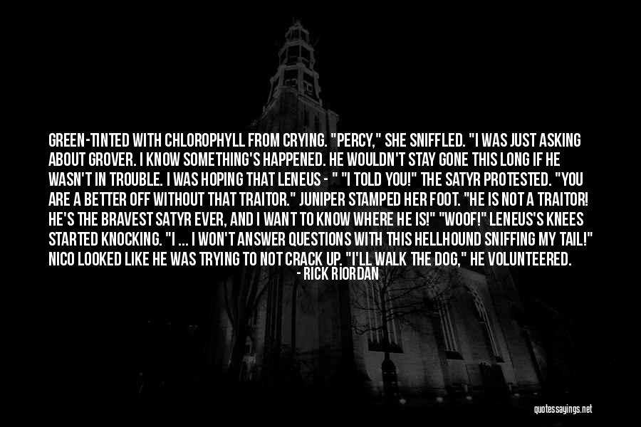 Recuperar Contrase A Quotes By Rick Riordan Recuperar Contrase A Quotes By Rick Riordan