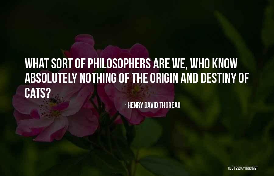 Recursively Enumerable Language Quotes By Henry David Thoreau Recursively Enumerable Language Quotes By Henry David Thoreau