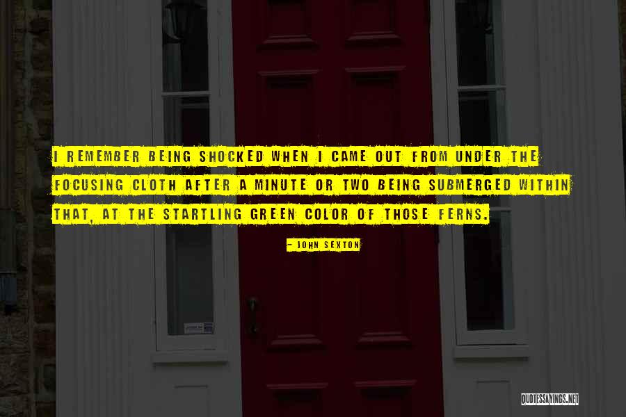 Recusacion Quotes By John Sexton Recusacion Quotes By John Sexton