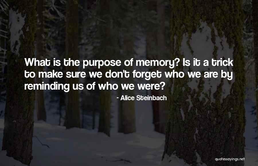 Recyclable Materials Quotes By Alice Steinbach Recyclable Materials Quotes By Alice Steinbach