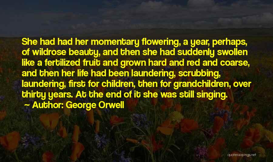 Red And Beauty Quotes By George Orwell