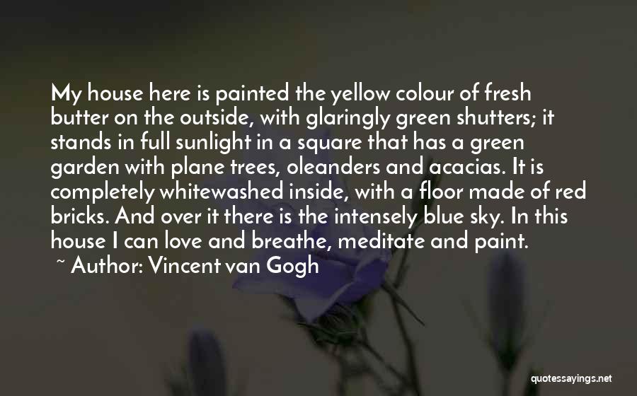 Red And Blue Colour Quotes By Vincent Van Gogh
