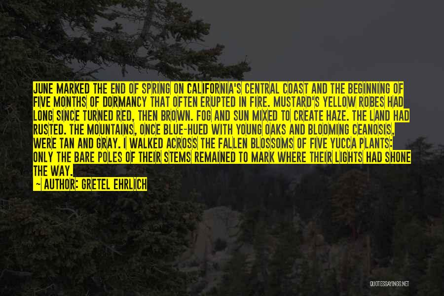 Red Blue Yellow Quotes By Gretel Ehrlich