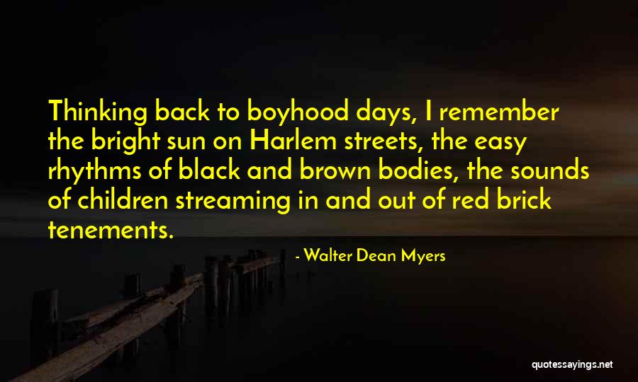 Red Brick Quotes By Walter Dean Myers