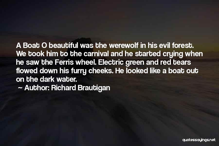 Red Cheeks Quotes By Richard Brautigan