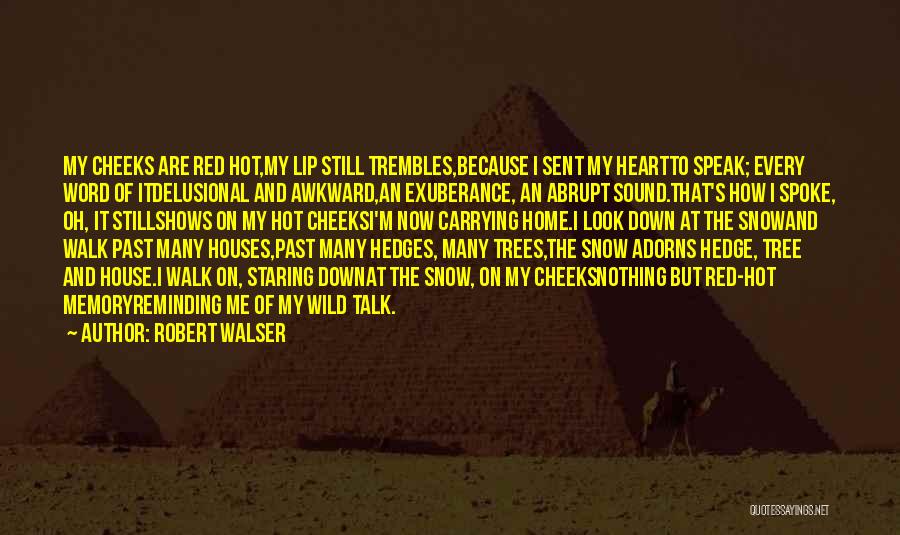 Red Cheeks Quotes By Robert Walser