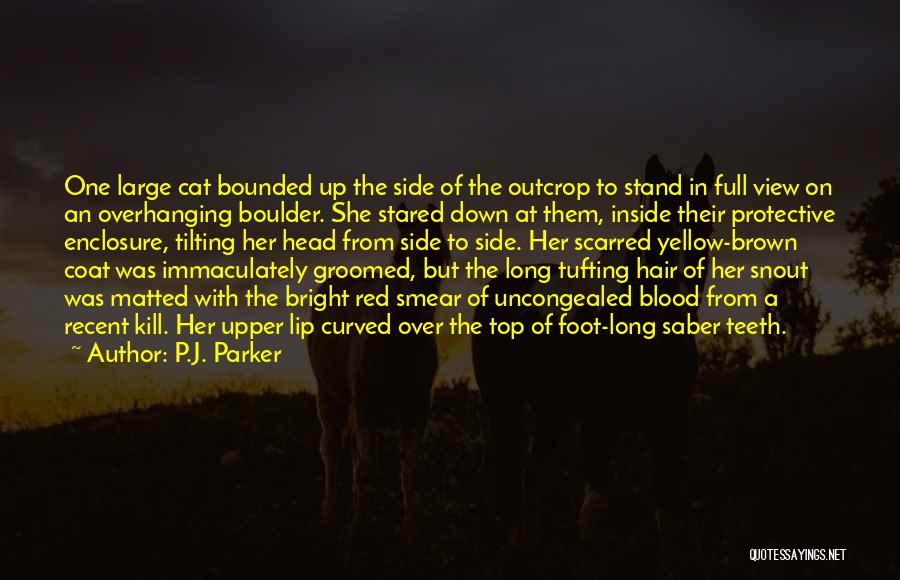 Red Coat Quotes By P.J. Parker