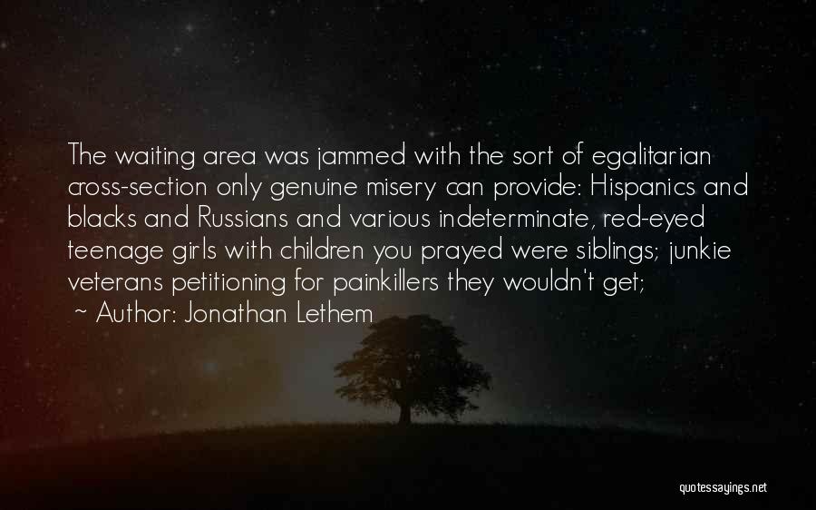 Red Cross Quotes By Jonathan Lethem