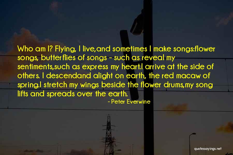 Red Dwarf Polymorph 2 Quotes By Peter Everwine Red Dwarf Polymorph 2 Quotes By Peter Everwine