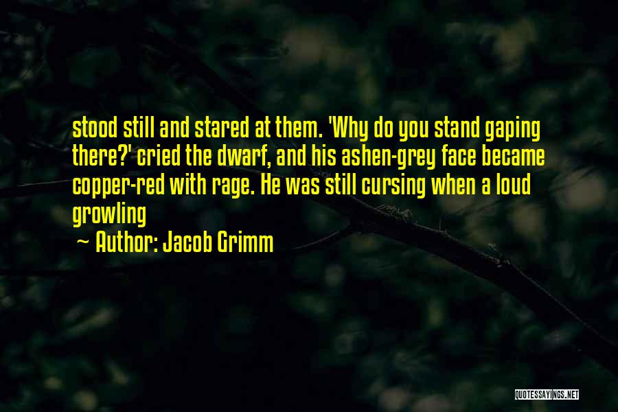 Red Dwarf Quotes By Jacob Grimm