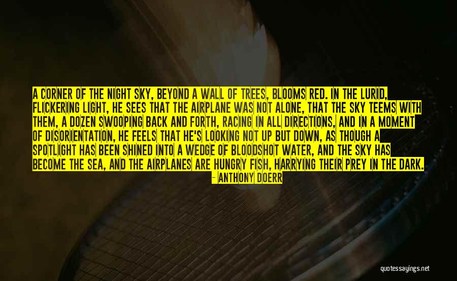 Red Fish Quotes By Anthony Doerr Red Fish Quotes By Anthony Doerr