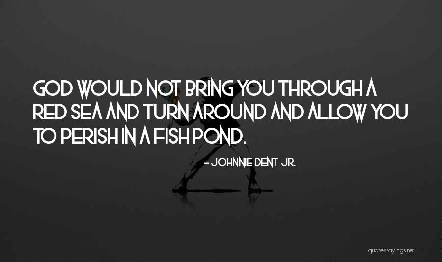 Red Fish Quotes By Johnnie Dent Jr. Red Fish Quotes By Johnnie Dent Jr.