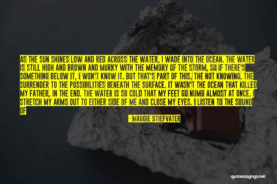 Red Fish Quotes By Maggie Stiefvater Red Fish Quotes By Maggie Stiefvater