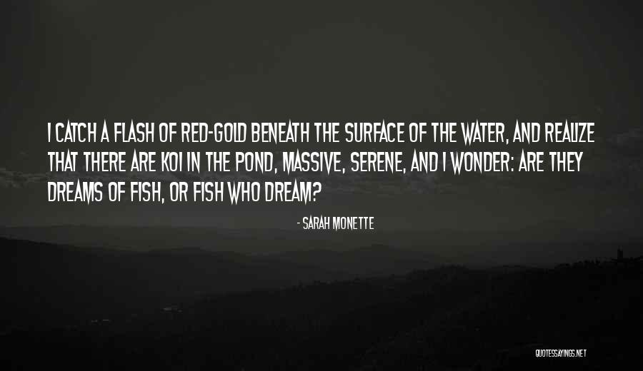 Red Fish Quotes By Sarah Monette Red Fish Quotes By Sarah Monette