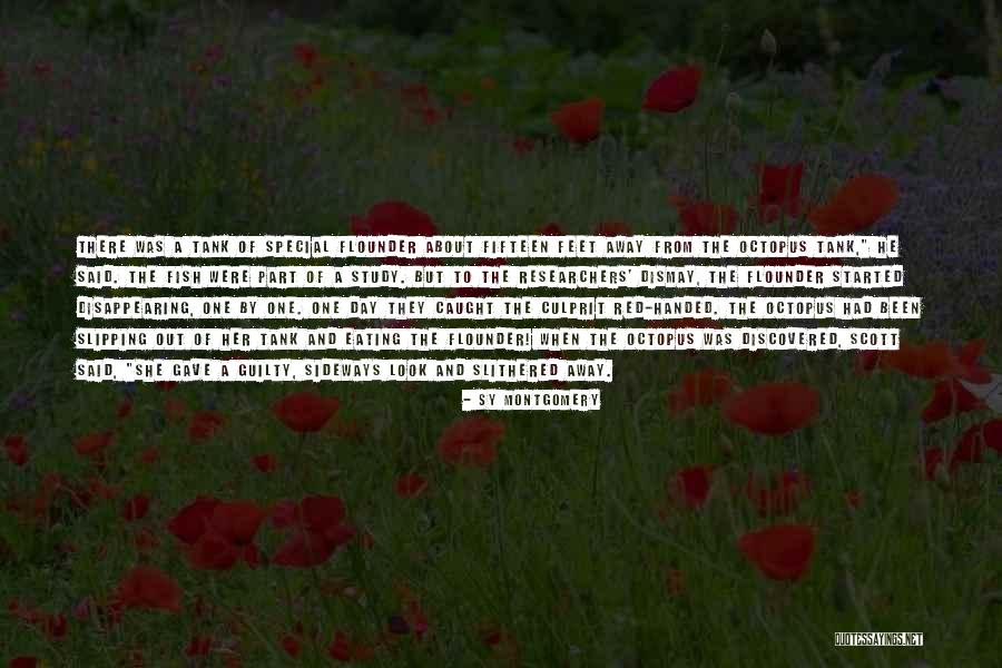 Red Fish Quotes By Sy Montgomery Red Fish Quotes By Sy Montgomery