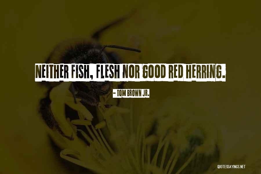 Red Fish Quotes By Tom Brown Jr. Red Fish Quotes By Tom Brown Jr.