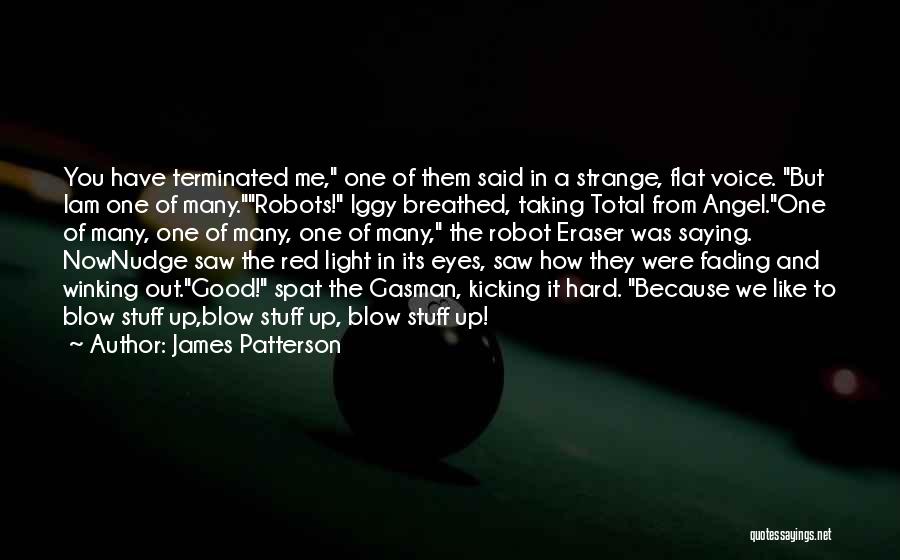 Red Light Quotes By James Patterson