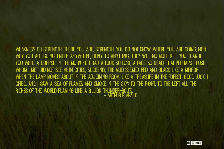 Red Like The Sky Quotes By Arthur Rimbaud Red Like The Sky Quotes By Arthur Rimbaud