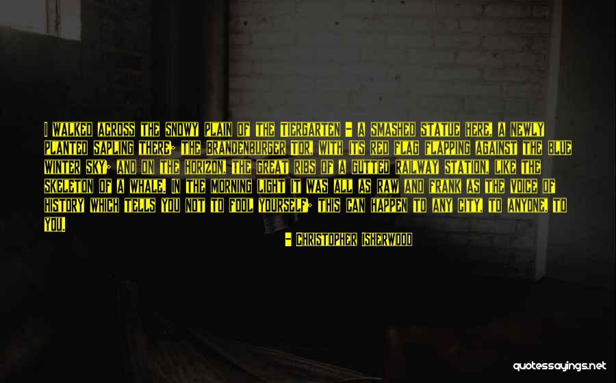 Red Like The Sky Quotes By Christopher Isherwood Red Like The Sky Quotes By Christopher Isherwood
