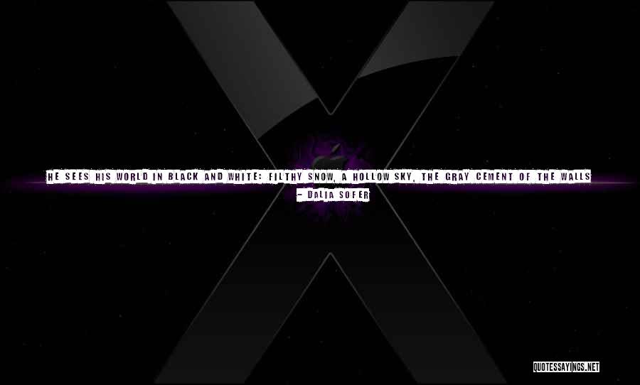 Red Like The Sky Quotes By Dalia Sofer Red Like The Sky Quotes By Dalia Sofer