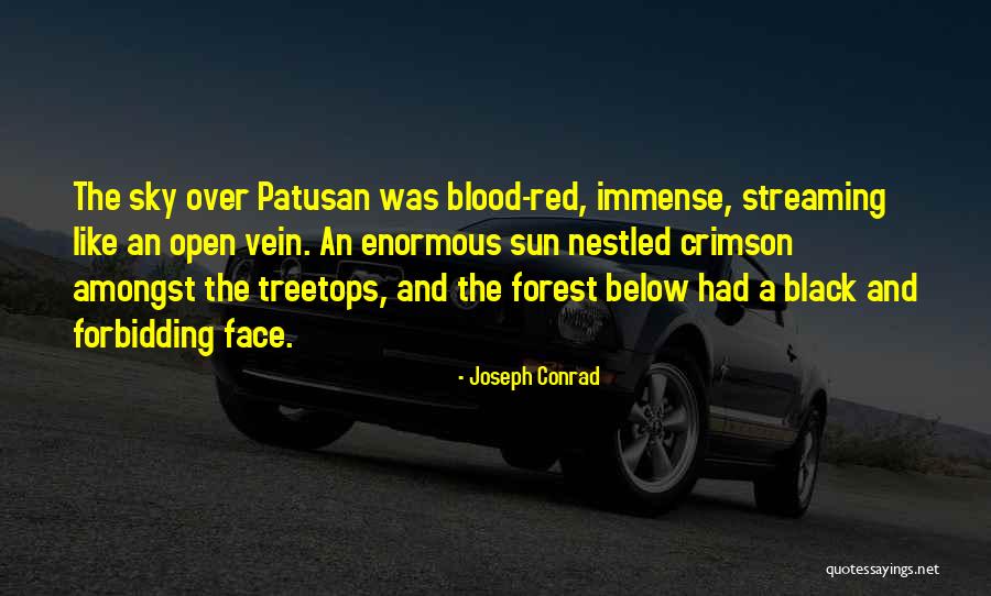 Red Like The Sky Quotes By Joseph Conrad Red Like The Sky Quotes By Joseph Conrad