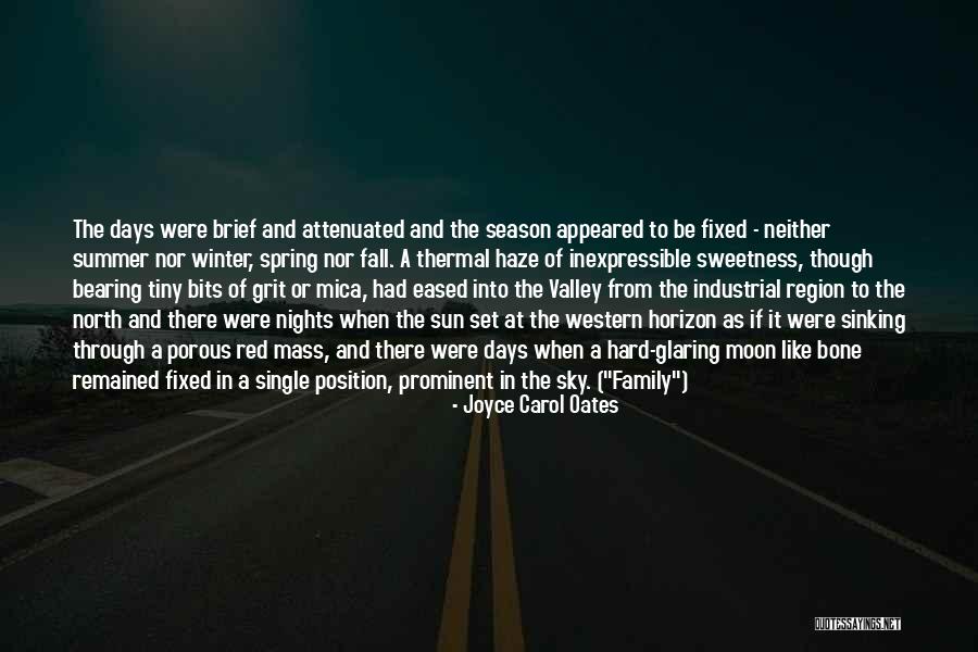 Red Like The Sky Quotes By Joyce Carol Oates Red Like The Sky Quotes By Joyce Carol Oates