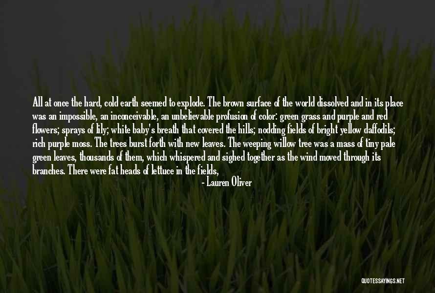 Red Like The Sky Quotes By Lauren Oliver Red Like The Sky Quotes By Lauren Oliver