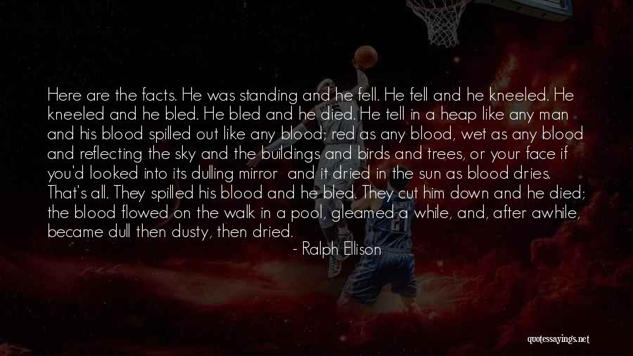 Red Like The Sky Quotes By Ralph Ellison Red Like The Sky Quotes By Ralph Ellison