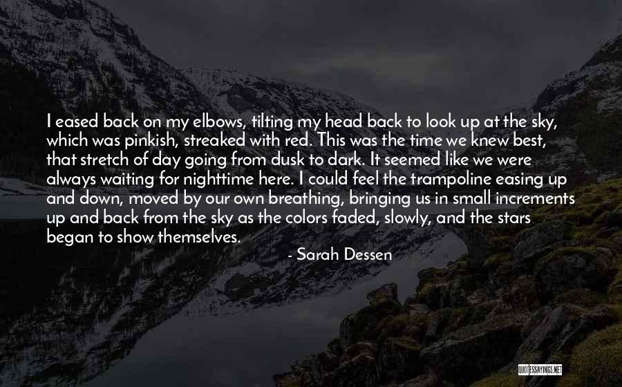 Red Like The Sky Quotes By Sarah Dessen Red Like The Sky Quotes By Sarah Dessen