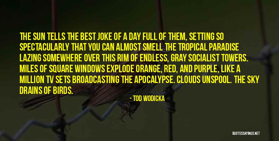 Red Like The Sky Quotes By Tod Wodicka Red Like The Sky Quotes By Tod Wodicka
