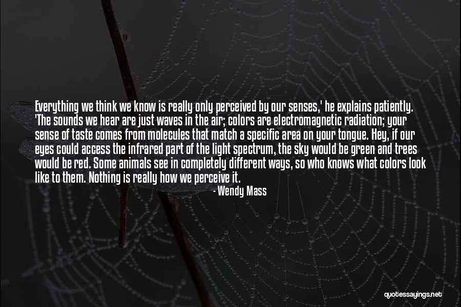 Red Like The Sky Quotes By Wendy Mass Red Like The Sky Quotes By Wendy Mass