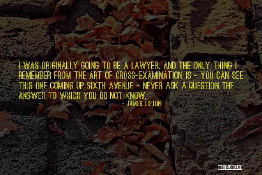 Red Mask Batman Quotes By James Lipton Red Mask Batman Quotes By James Lipton