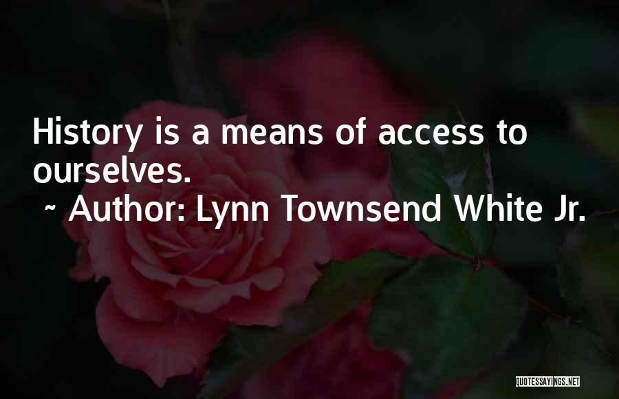 Red Masks Quotes By Lynn Townsend White Jr.