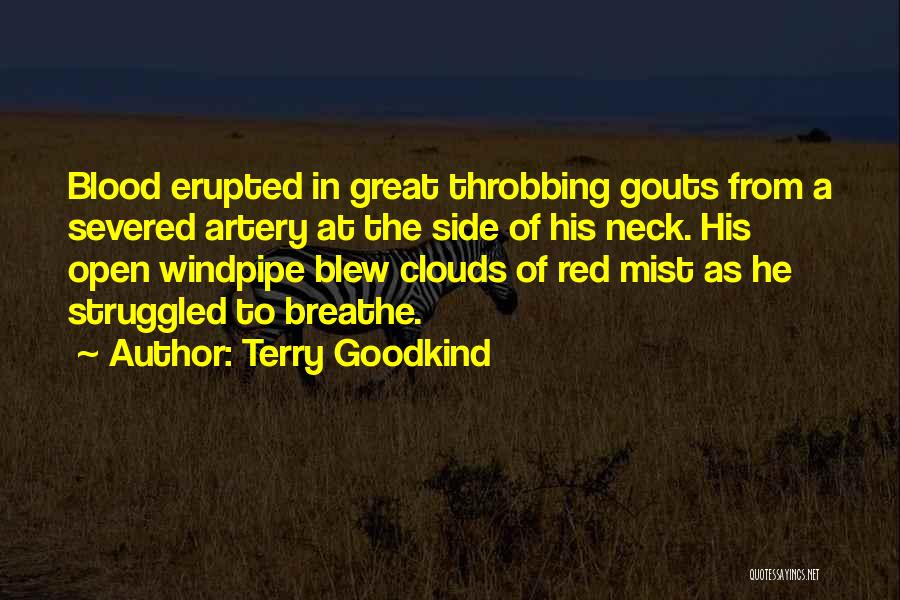 Red Mist Quotes By Terry Goodkind