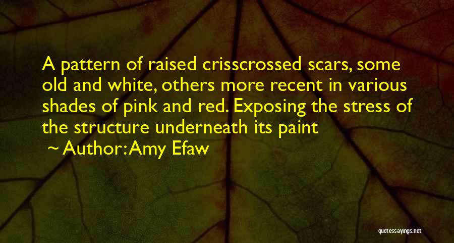 Red Paint Quotes By Amy Efaw