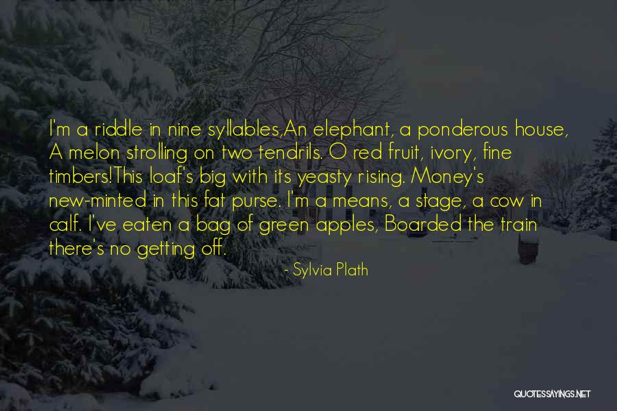 Red Purse Quotes By Sylvia Plath