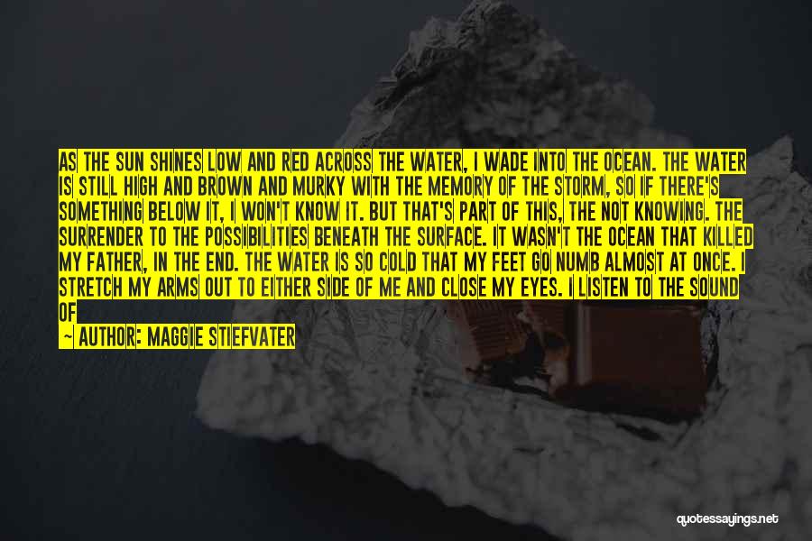 Red Rocks Quotes By Maggie Stiefvater