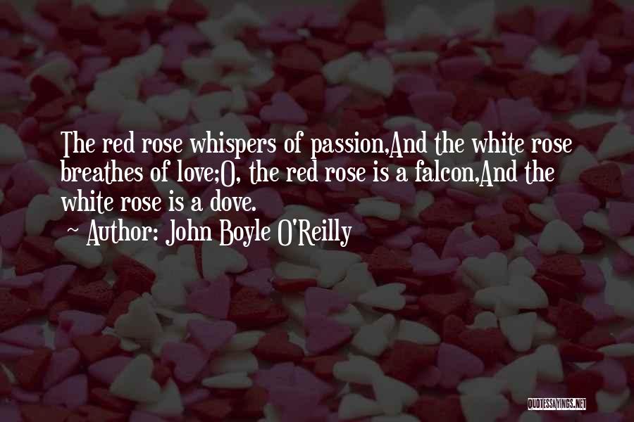 Red Rose With Love Quotes By John Boyle O'Reilly